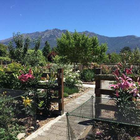 Birch Hill Cottage -30 Minutes From St Arnaud Wairau Valley Kültér fotó