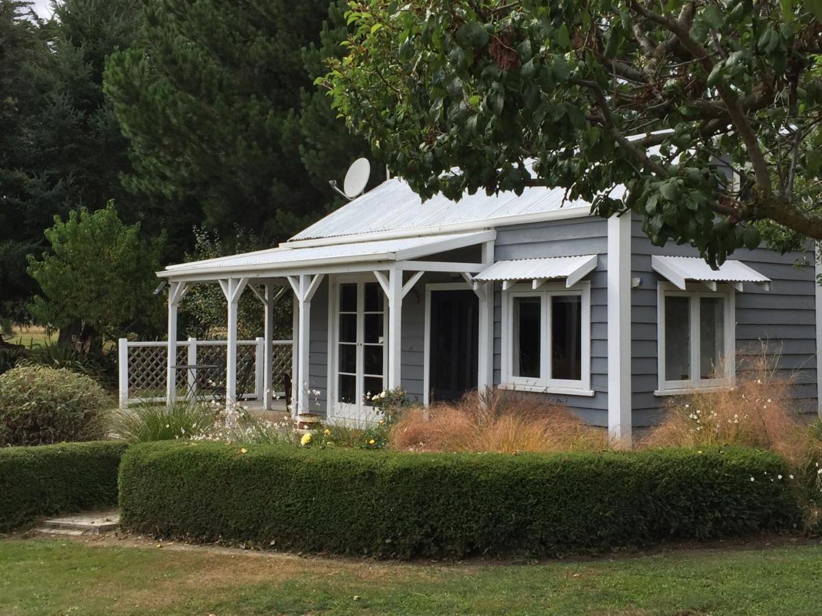 Birch Hill Cottage -30 Minutes From St Arnaud Wairau Valley Kültér fotó