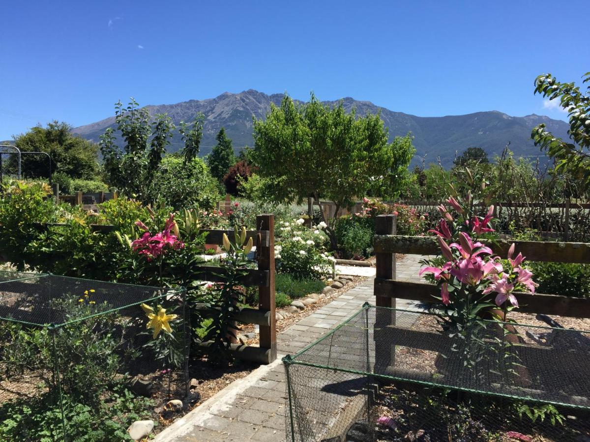 Birch Hill Cottage -30 Minutes From St Arnaud Wairau Valley Kültér fotó