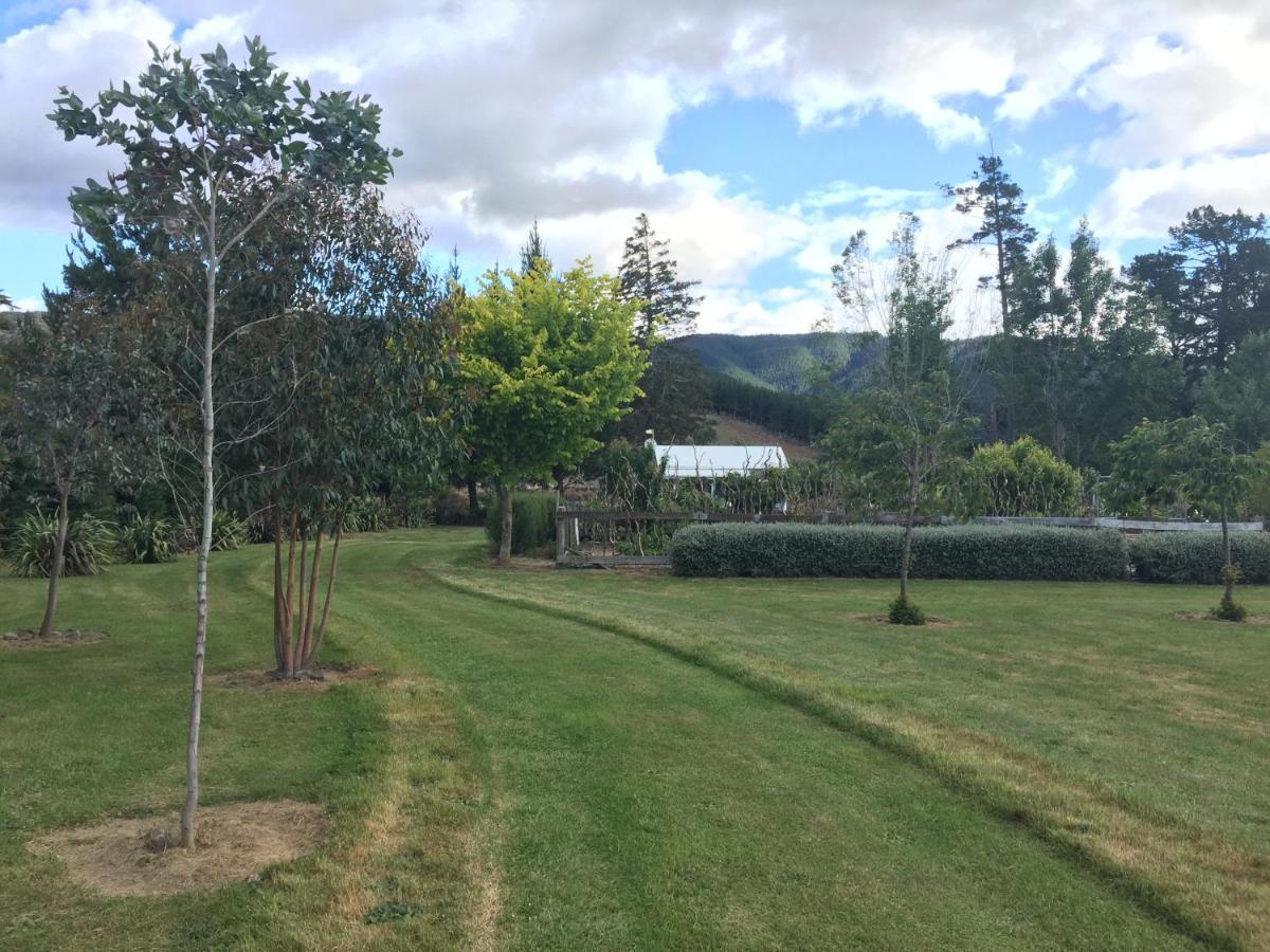 Birch Hill Cottage -30 Minutes From St Arnaud Wairau Valley Kültér fotó